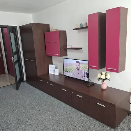 Onyx - Radiance 公寓 布拉索夫