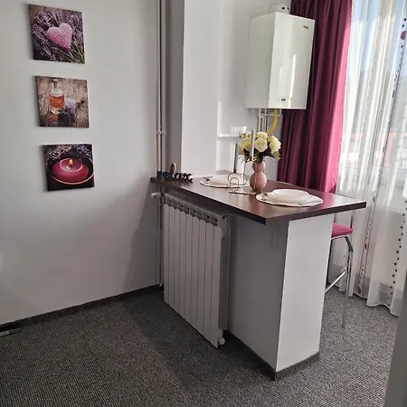 Onyx - Radiance 公寓 布拉索夫